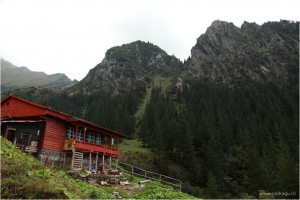 Turnuri hut